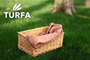 Газон у тіні: які суміші найкраще підходять? фото